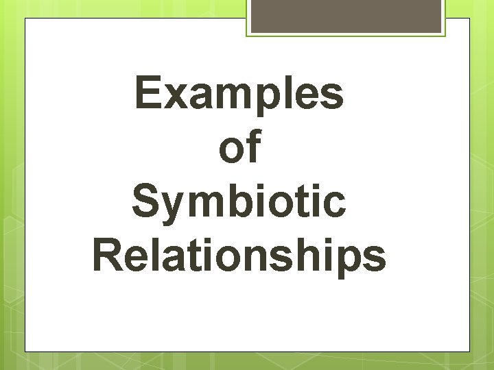 Examples of Symbiotic Relationships 