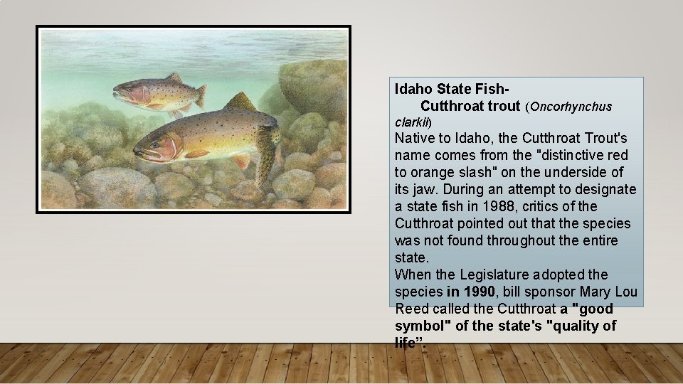 Idaho State Fish. Cutthroat trout (Oncorhynchus clarkii) Native to Idaho, the Cutthroat Trout's name