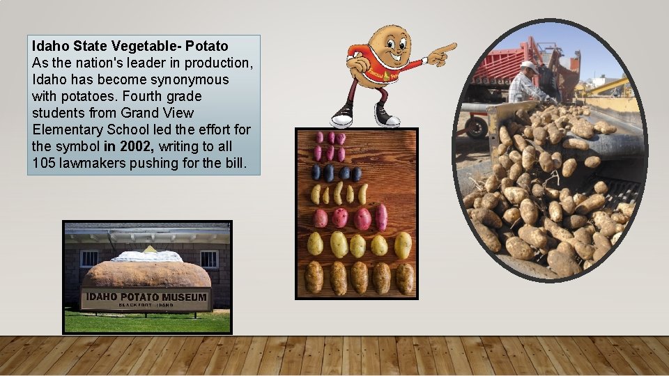 Idaho State Vegetable- Potato As the nation's leader in production, Idaho has become synonymous