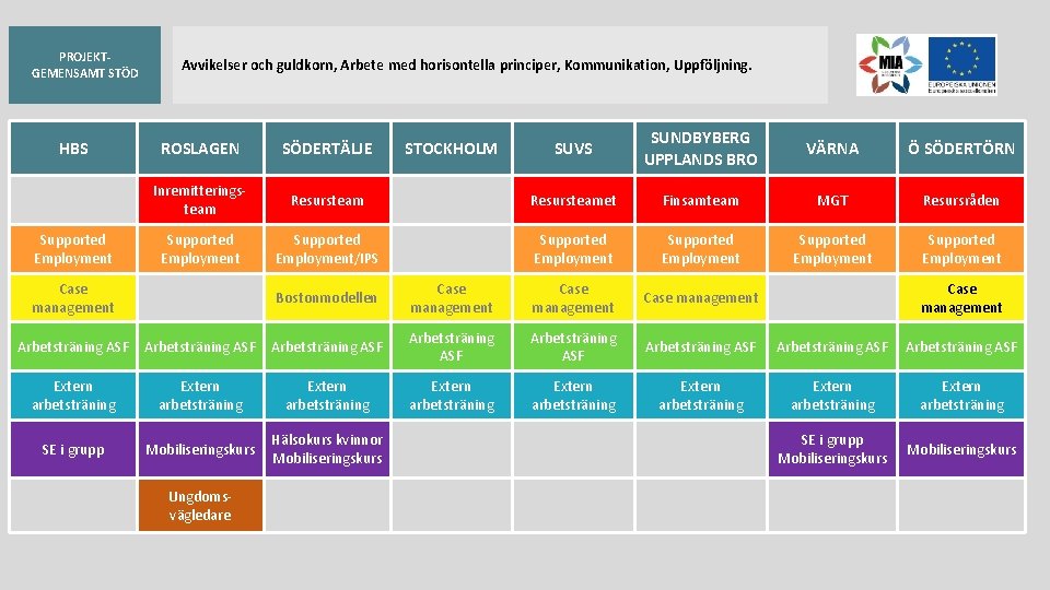 PROJEKTGEMENSAMT STÖD HBS Supported Employment Avvikelser och guldkorn, Arbete med horisontella principer, Kommunikation, Uppföljning.