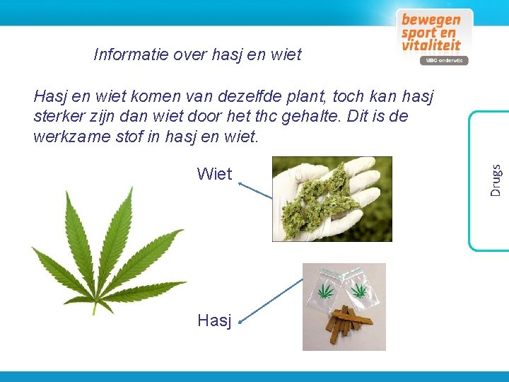 Informatie over hasj en wiet Wiet Hasj Drugs Hasj en wiet komen van dezelfde