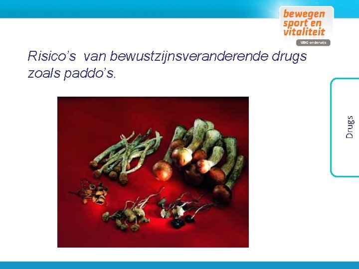 Drugs Risico’s van bewustzijnsveranderende drugs zoals paddo’s. 