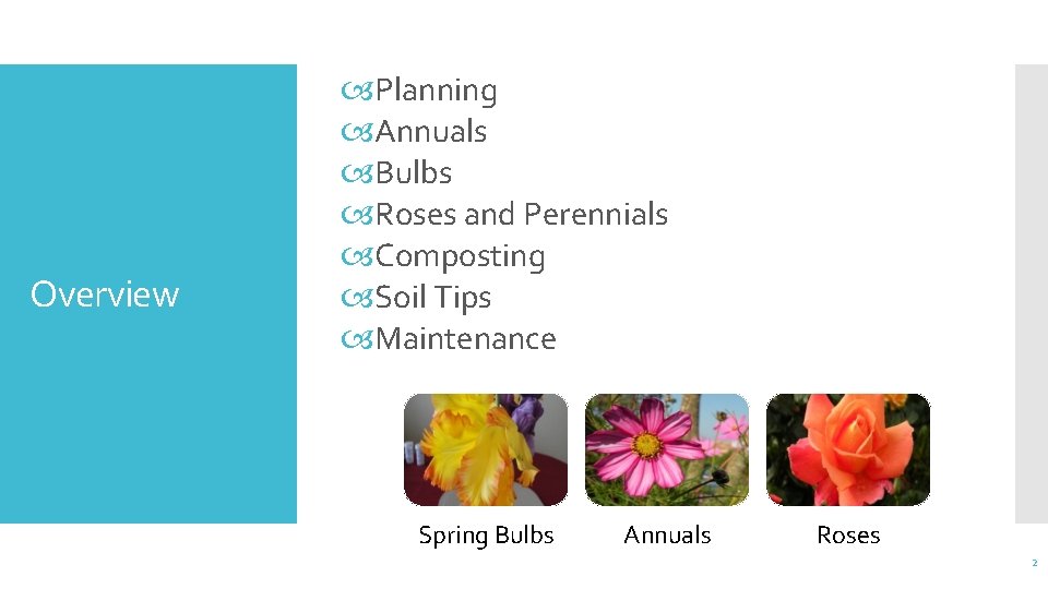 Overview Planning Annuals Bulbs Roses and Perennials Composting Soil Tips Maintenance Spring Bulbs Annuals