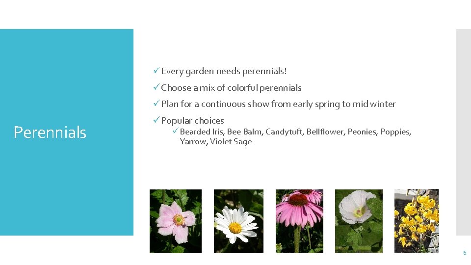 üEvery garden needs perennials! üChoose a mix of colorful perennials üPlan for a continuous