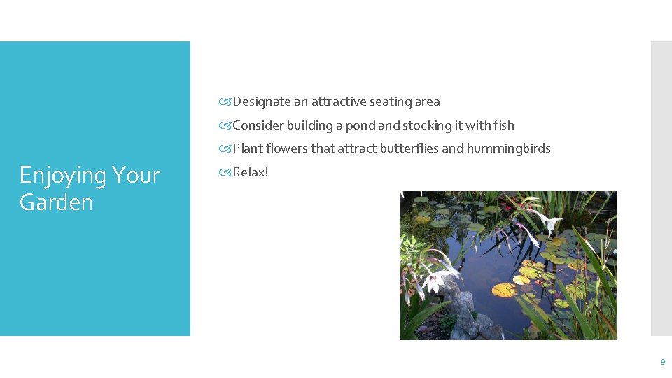  Designate an attractive seating area Consider building a pond and stocking it with