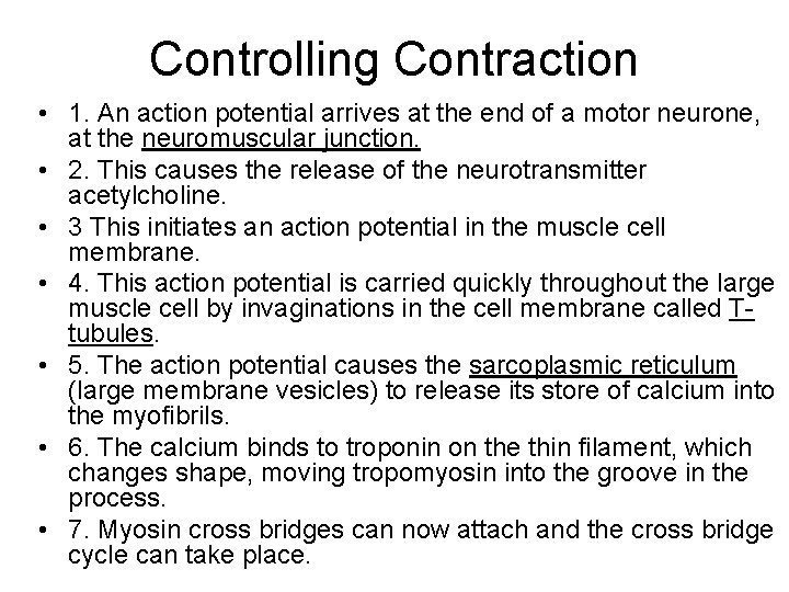 Controlling Contraction • 1. An action potential arrives at the end of a motor