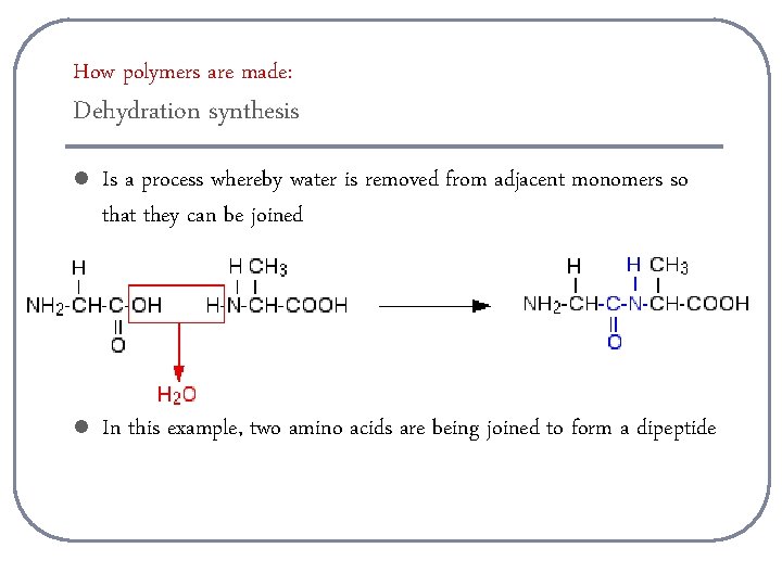 How polymers are made: Dehydration synthesis l Is a process whereby water is removed