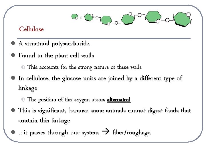Cellulose A structural polysaccharide l Found in the plant cell walls l l o