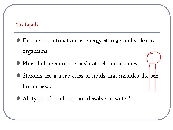 2. 6 Lipids Fats and oils function as energy storage molecules in organisms l