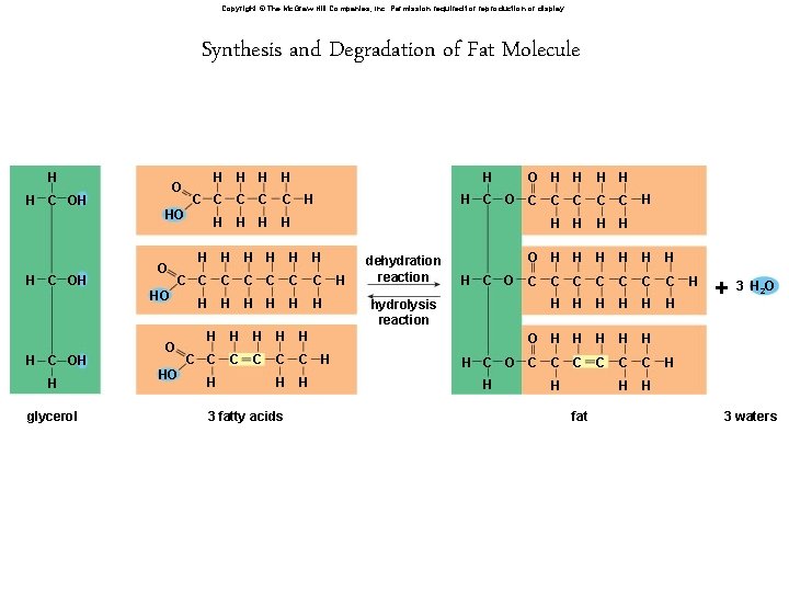 Copyright © The Mc. Graw-Hill Companies, Inc. Permission required for reproduction or display. Synthesis