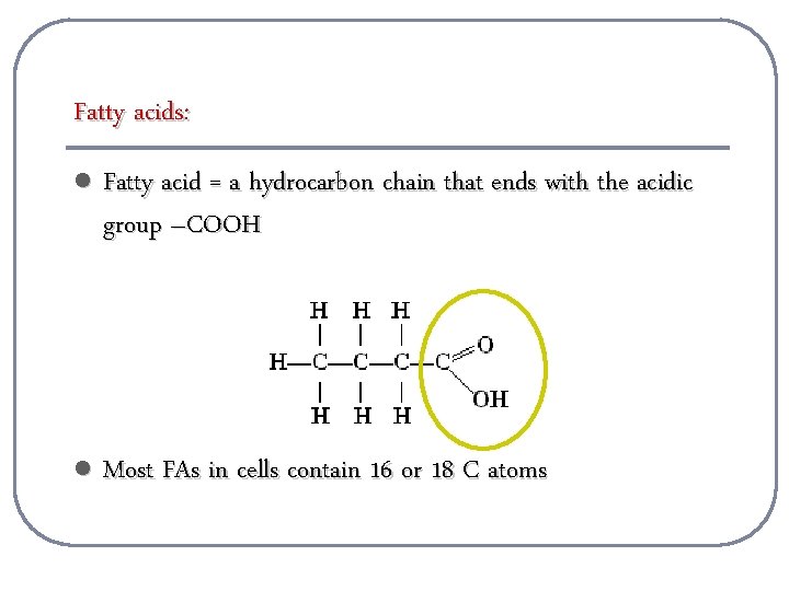 Fatty acids: l Fatty acid = a hydrocarbon chain that ends with the acidic