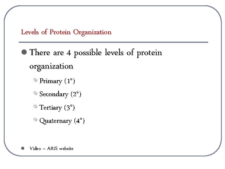 Levels of Protein Organization l There are 4 possible levels of protein organization •