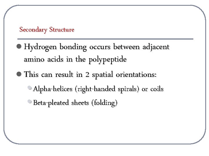 Secondary Structure l Hydrogen bonding occurs between adjacent amino acids in the polypeptide l