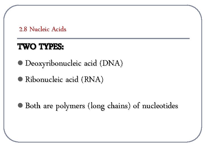 2. 8 Nucleic Acids TWO TYPES: l Deoxyribonucleic acid (DNA) l Ribonucleic acid (RNA)