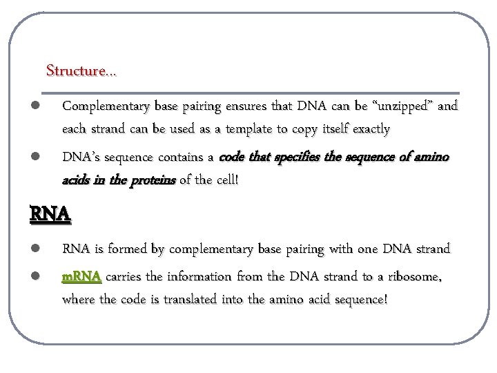 Structure. . . l l Complementary base pairing ensures that DNA can be “unzipped”