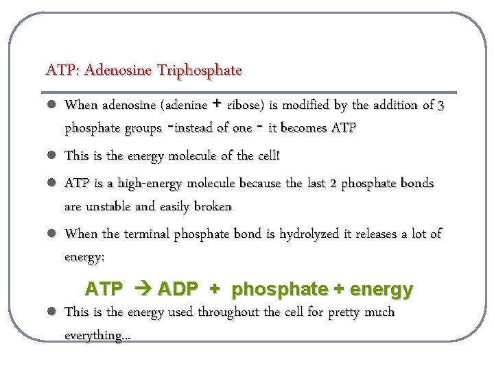ATP: Adenosine Triphosphate l l l When adenosine (adenine + ribose) is modified by
