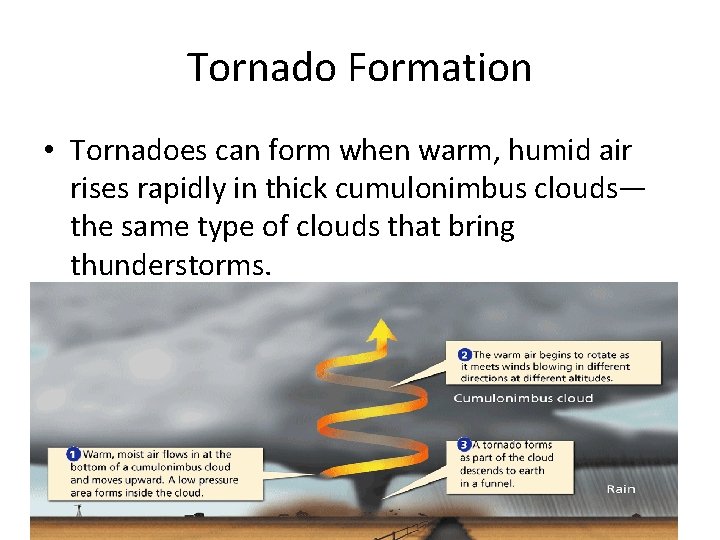 - Storms Tornado Formation • Tornadoes can form when warm, humid air rises rapidly