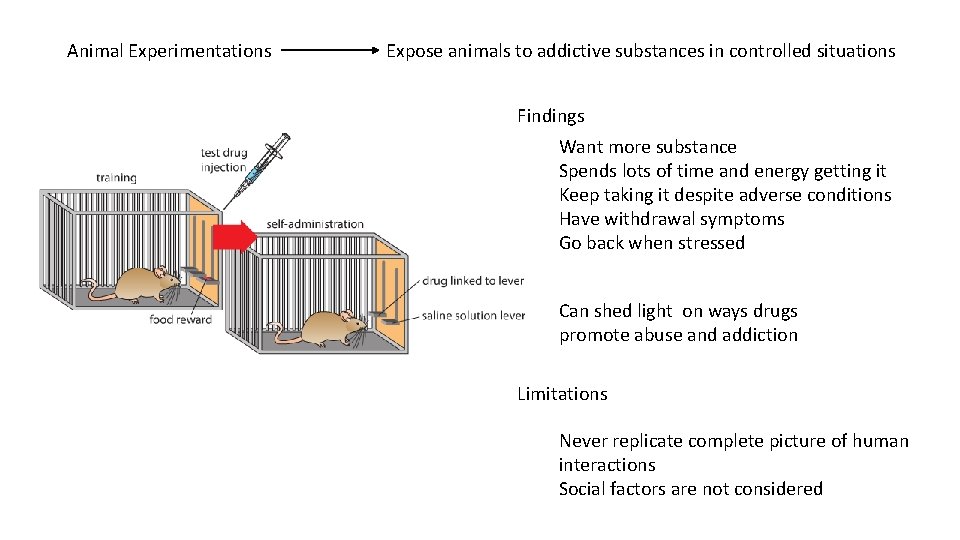 Animal Experimentations Expose animals to addictive substances in controlled situations Findings Want more substance