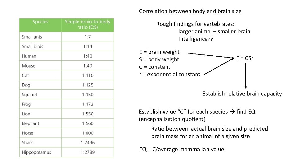 Correlation between body and brain size Rough findings for vertebrates: larger animal – smaller