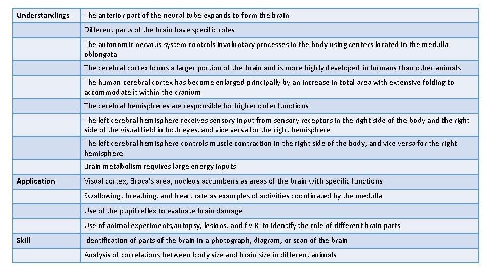 Understandings The anterior part of the neural tube expands to form the brain Different