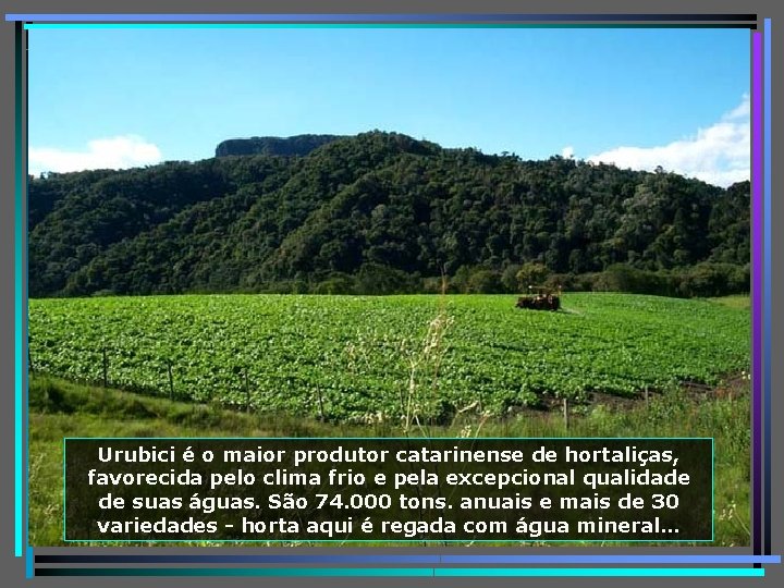 Urubici é o maior produtor catarinense de hortaliças, favorecida pelo clima frio e pela