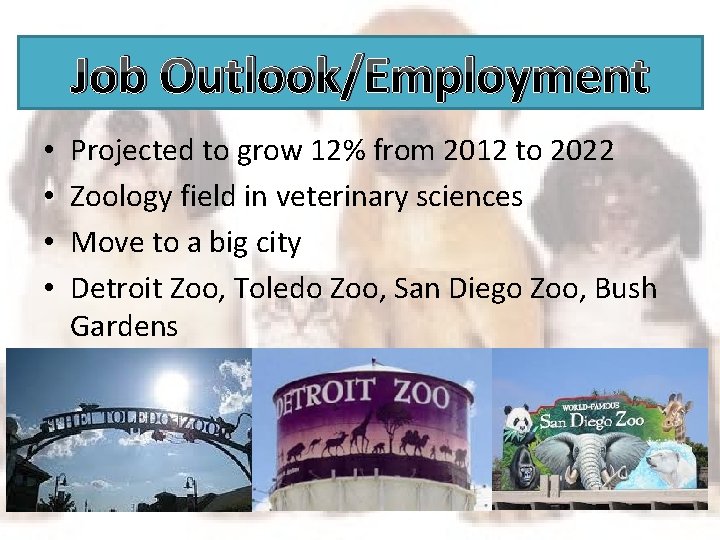 Veterinarian Career Cluster Healthcare Hannah Frizzle February 10