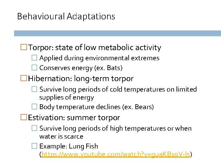 Behavioural Adaptations �Torpor: state of low metabolic activity � Applied during environmental extremes �