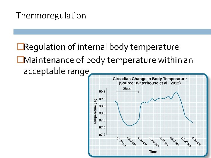 Thermoregulation �Regulation of internal body temperature �Maintenance of body temperature within an acceptable range