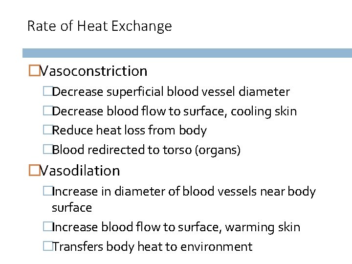 Rate of Heat Exchange �Vasoconstriction �Decrease superficial blood vessel diameter �Decrease blood flow to