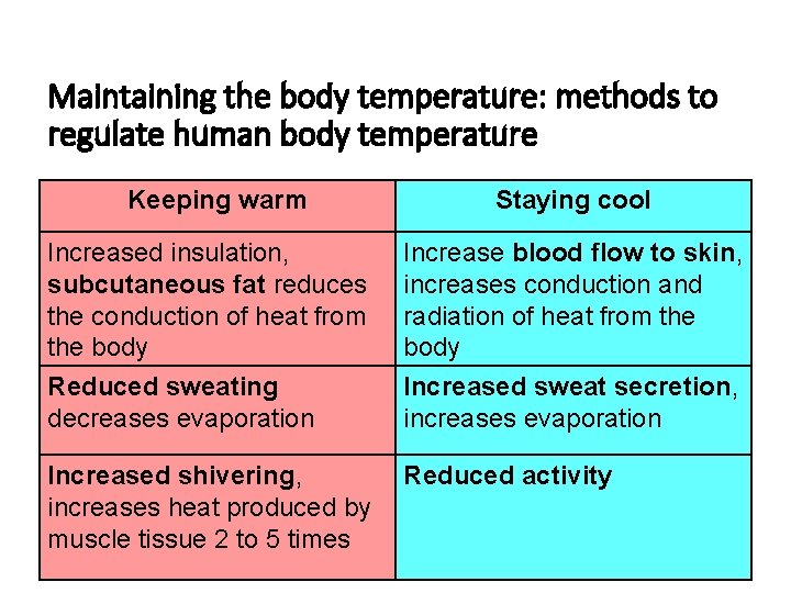 Maintaining the body temperature: methods to regulate human body temperature Keeping warm Staying cool