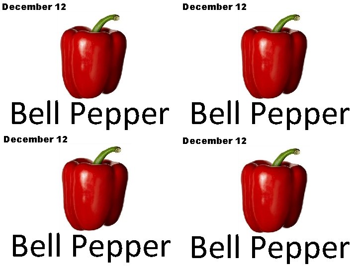 December 12 Bell Pepper 