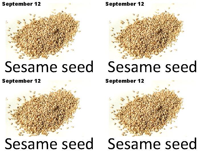 September 12 Sesame seed 