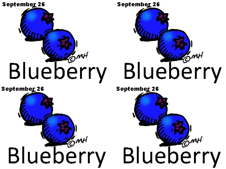 September 26 Blueberry 