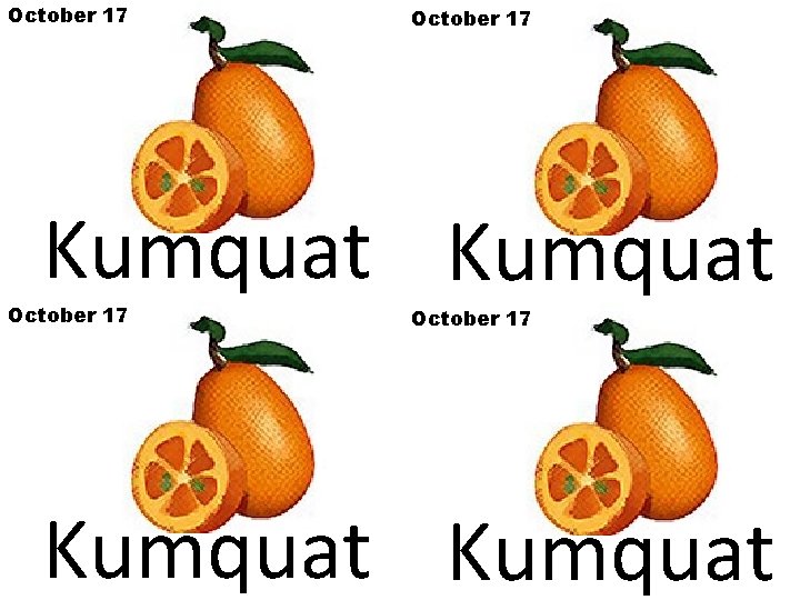 October 17 Kumquat 