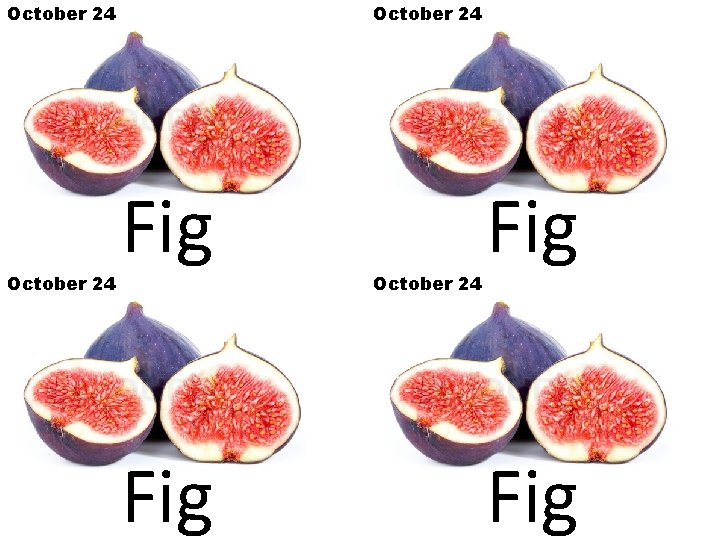 October 24 Fig Fig 