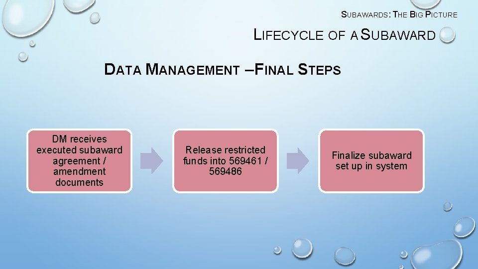 SUBAWARDS: THE BIG PICTURE LIFECYCLE OF A SUBAWARD DATA MANAGEMENT – FINAL STEPS DM