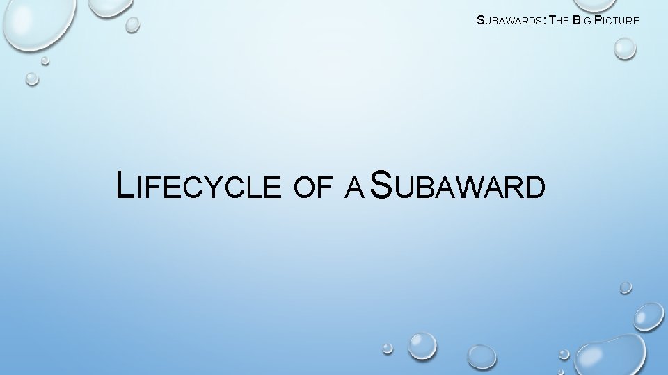 SUBAWARDS: THE BIG PICTURE LIFECYCLE OF A SUBAWARD 