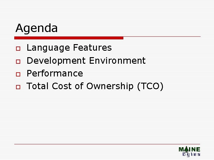 Agenda o o Language Features Development Environment Performance Total Cost of Ownership (TCO) 