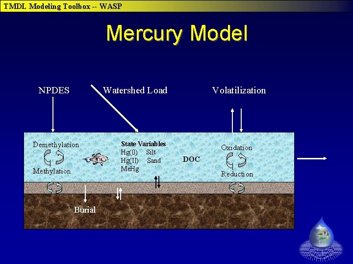 TMDL Modeling Toolbox -- WASP Mercury Model NPDES Watershed Load Demethylation Methylation Burial State