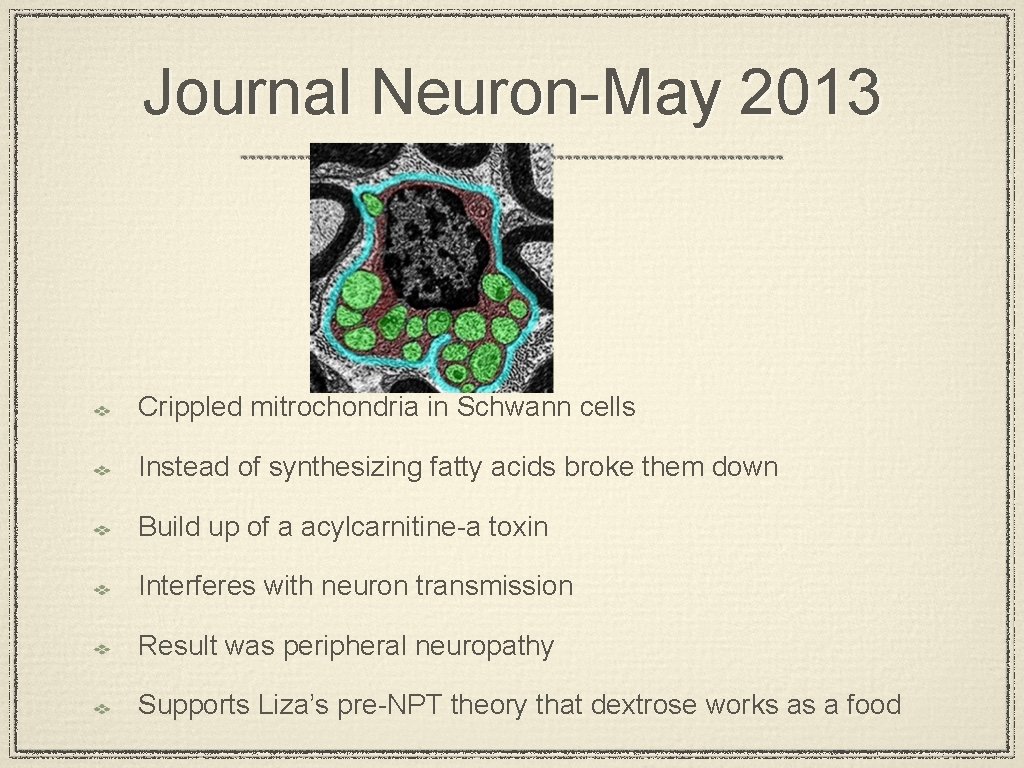 Journal Neuron-May 2013 Crippled mitrochondria in Schwann cells Instead of synthesizing fatty acids broke