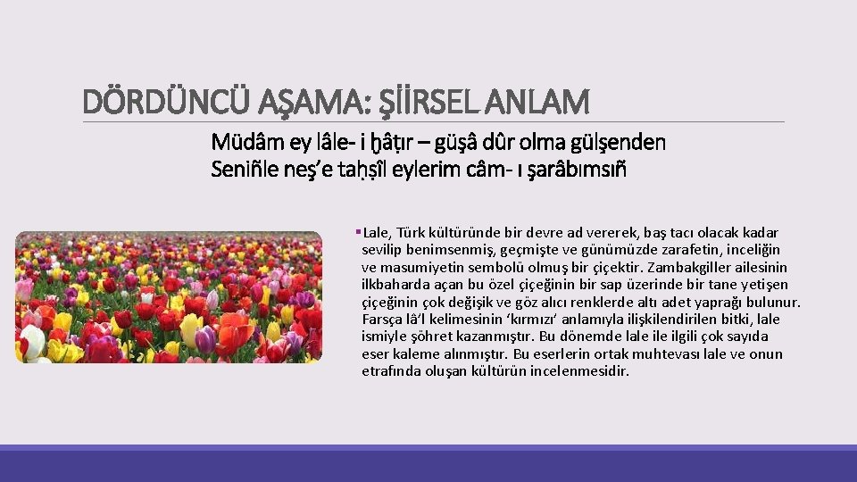 DÖRDÜNCÜ AŞAMA: ŞİİRSEL ANLAM Müdâm ey lâle- i ḫâṭır – güşâ dûr olma gülşenden