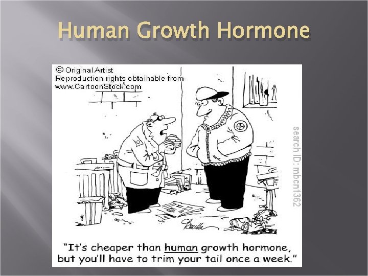 Human Growth Hormone 