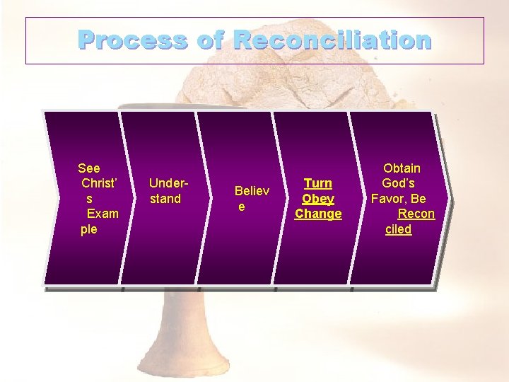 Process of Reconciliation See Christ’ s Exam ple Understand Believ e Turn Obey Change