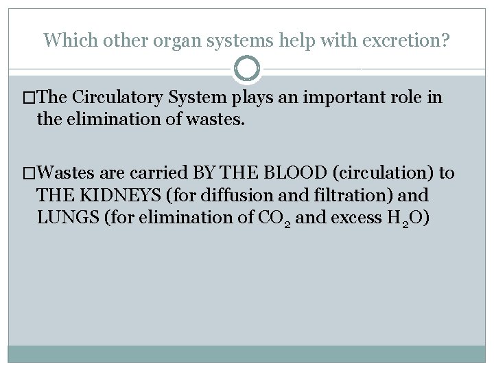 Which other organ systems help with excretion? �The Circulatory System plays an important role