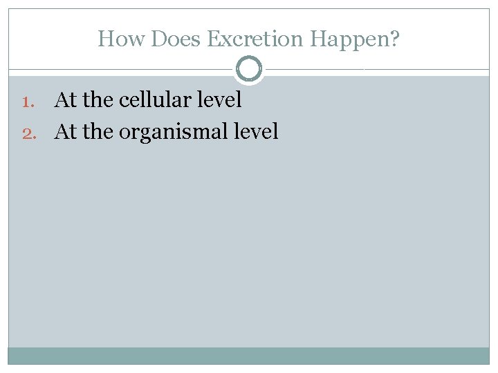 How Does Excretion Happen? At the cellular level 2. At the organismal level 1.