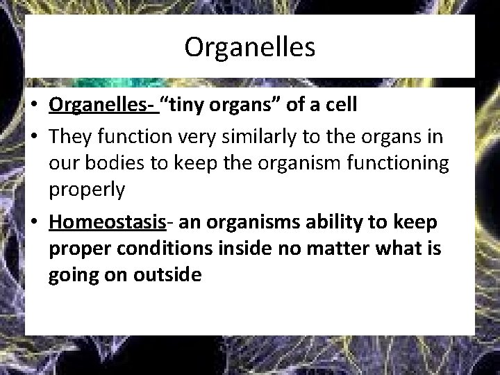 Organelles • Organelles- “tiny organs” of a cell • They function very similarly to