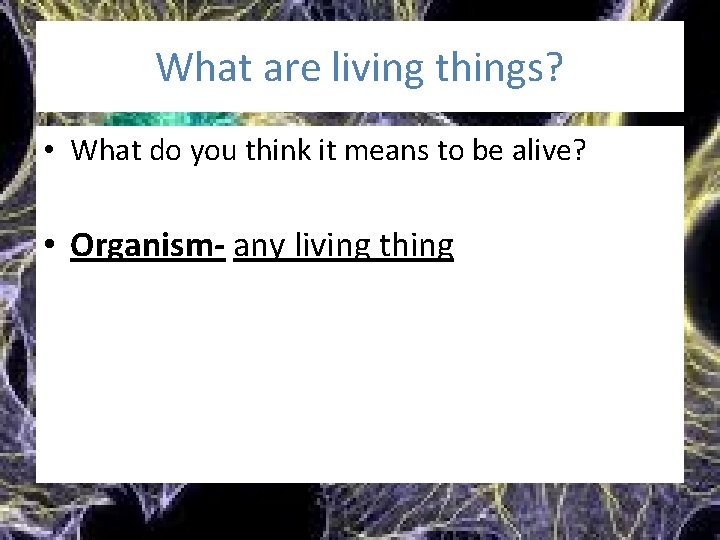 What are living things? • What do you think it means to be alive?