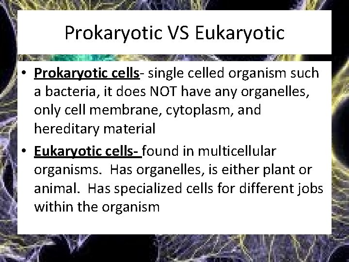 Prokaryotic VS Eukaryotic • Prokaryotic cells- single celled organism such a bacteria, it does