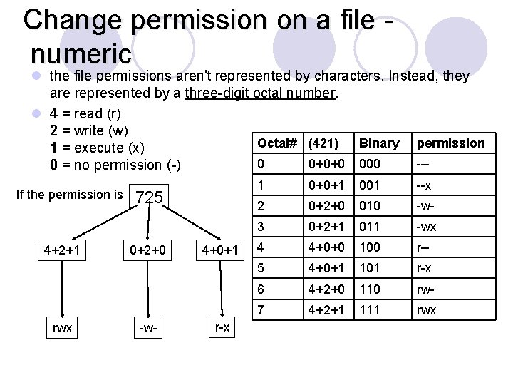 Using Linux Commands Lab 4 Using the Shell