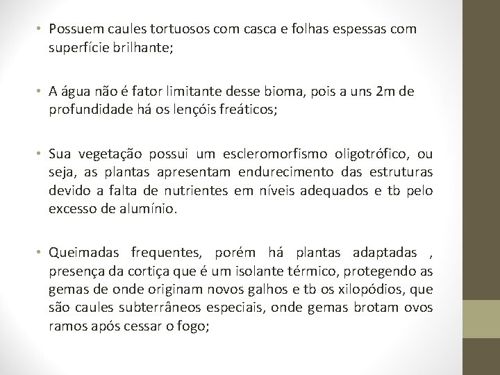  • Possuem caules tortuosos com casca e folhas espessas com superfície brilhante; •